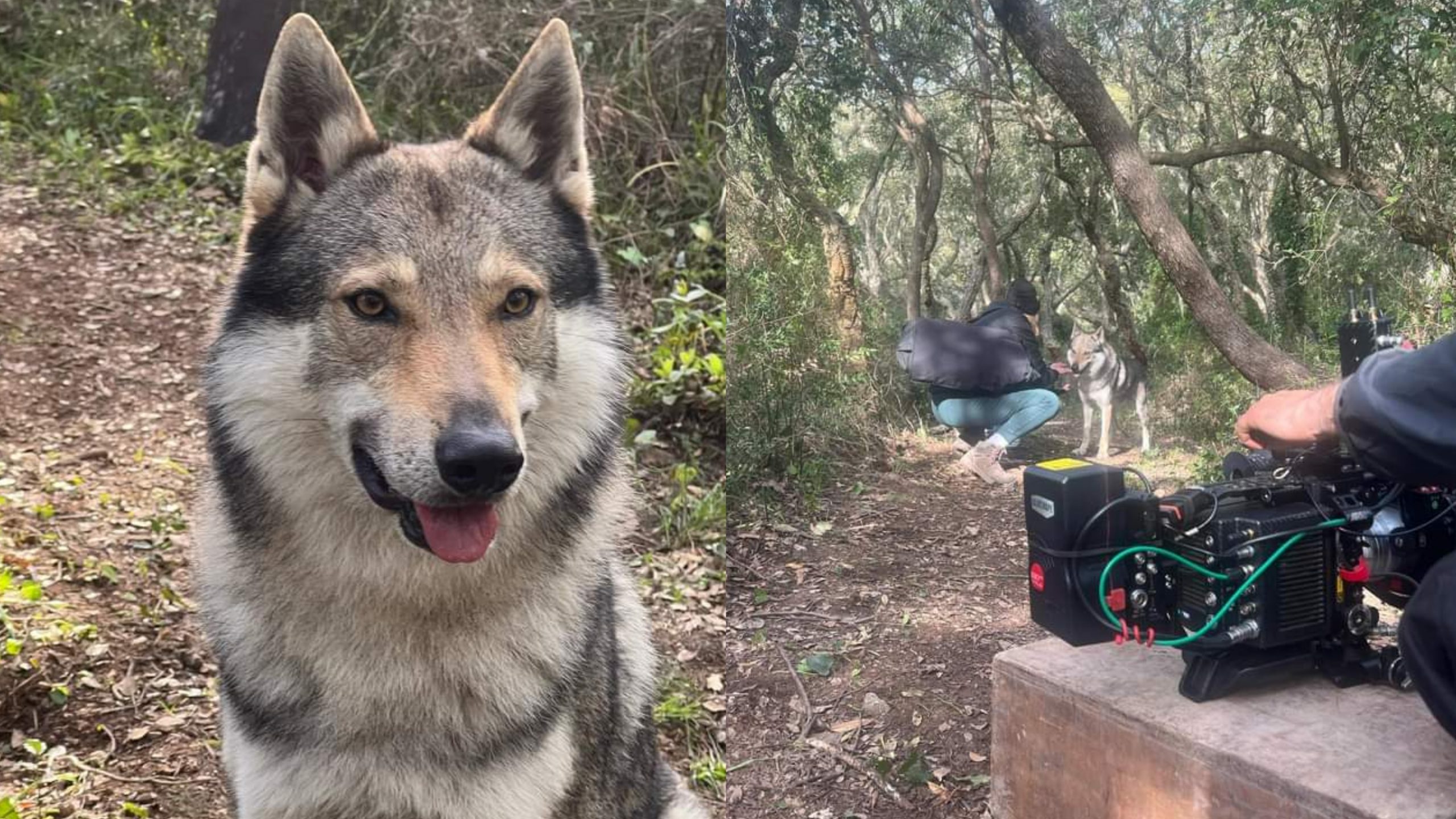Ussana, da fotomodello a star del grande schermo: Biker incanta tutti