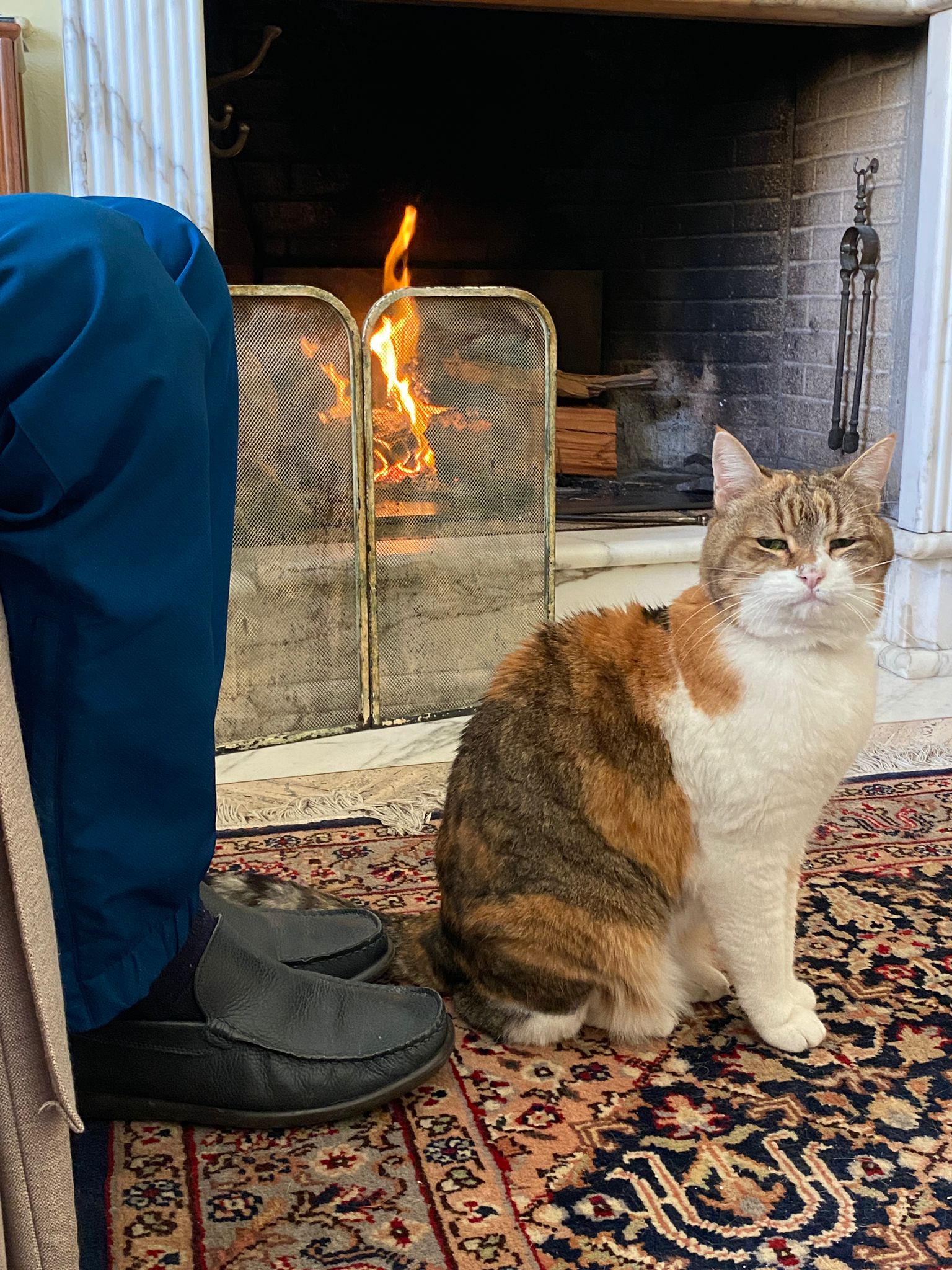 Una storia che scalda il cuore: Alena, adottata a 14 anni