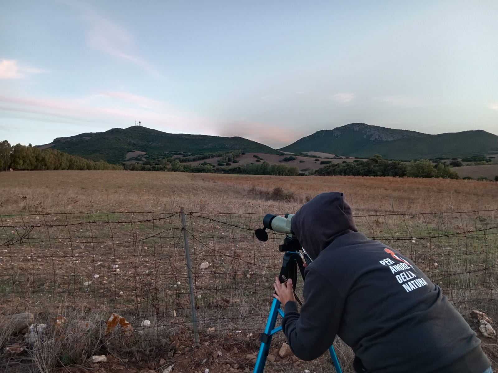 Buone notizie, la popolazione del Grifone in Sardegna è cresciuta dell’11,8%