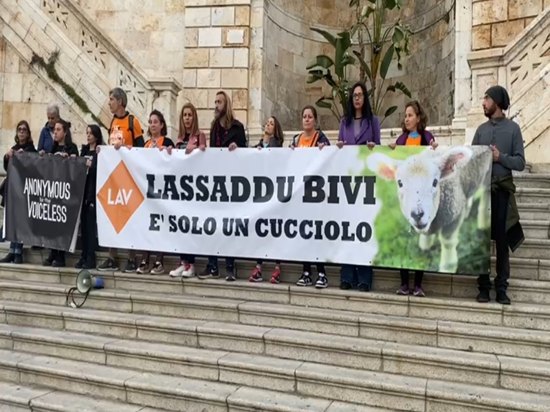 Cagliari, gli animalisti al Bastione tra striscioni e disperati belati di agnelli: “A Pasqua lasciateli vivere”