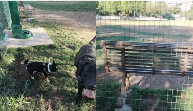 Salti e corse in sicurezza: a Monserrato nuova recinzione dell’area cani