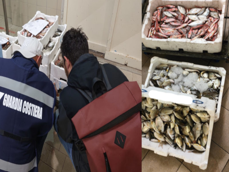 Cagliari, vendita irregolare di pesci e granchi: sanzioni da 6mila euro a 4 commercianti