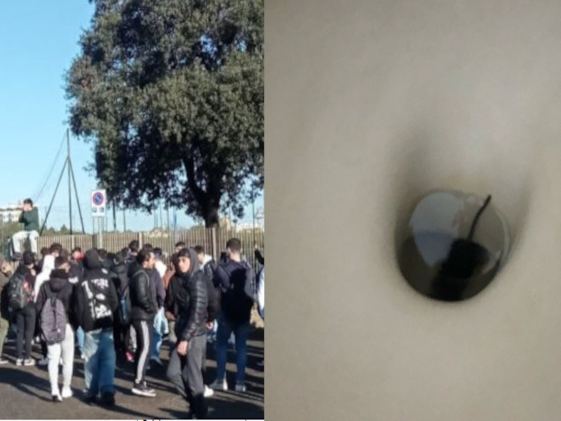 Cagliari, i topi al Giua ci sono davvero: scuola chiusa per derattizzazione dopo la protesta degli studenti