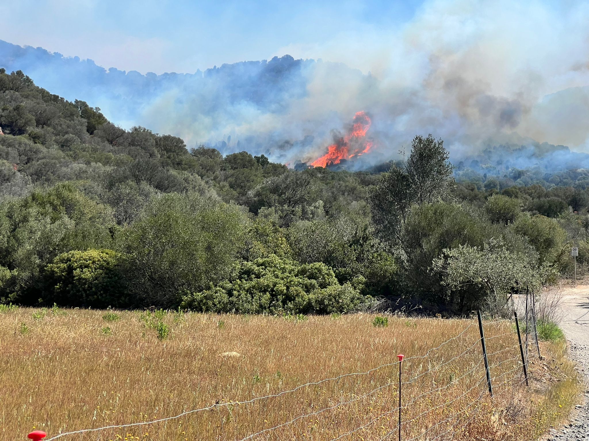 Fiamme a Sarroch e villette evacuate a Perd’e Sali: ore di terrore e due Canadair ko (VIDEO)