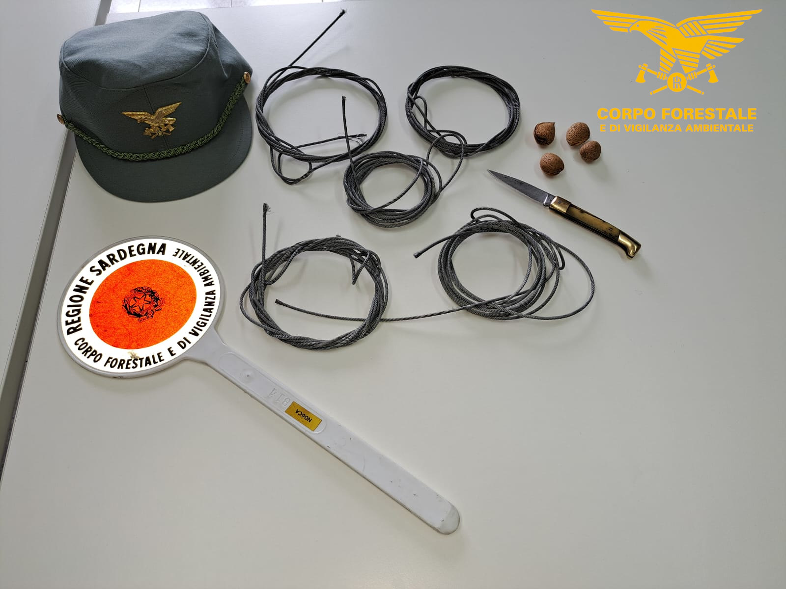 Lacci d’acciaio per catturare cervi e cinghiali: denunciati due anziani di Quartu e Capoterra