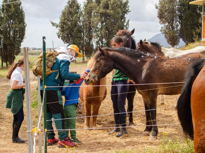 Cavalli, caprette e asinelli in aiuto ai bimbi come strumento di inclusione e socializzazione a Sarroch