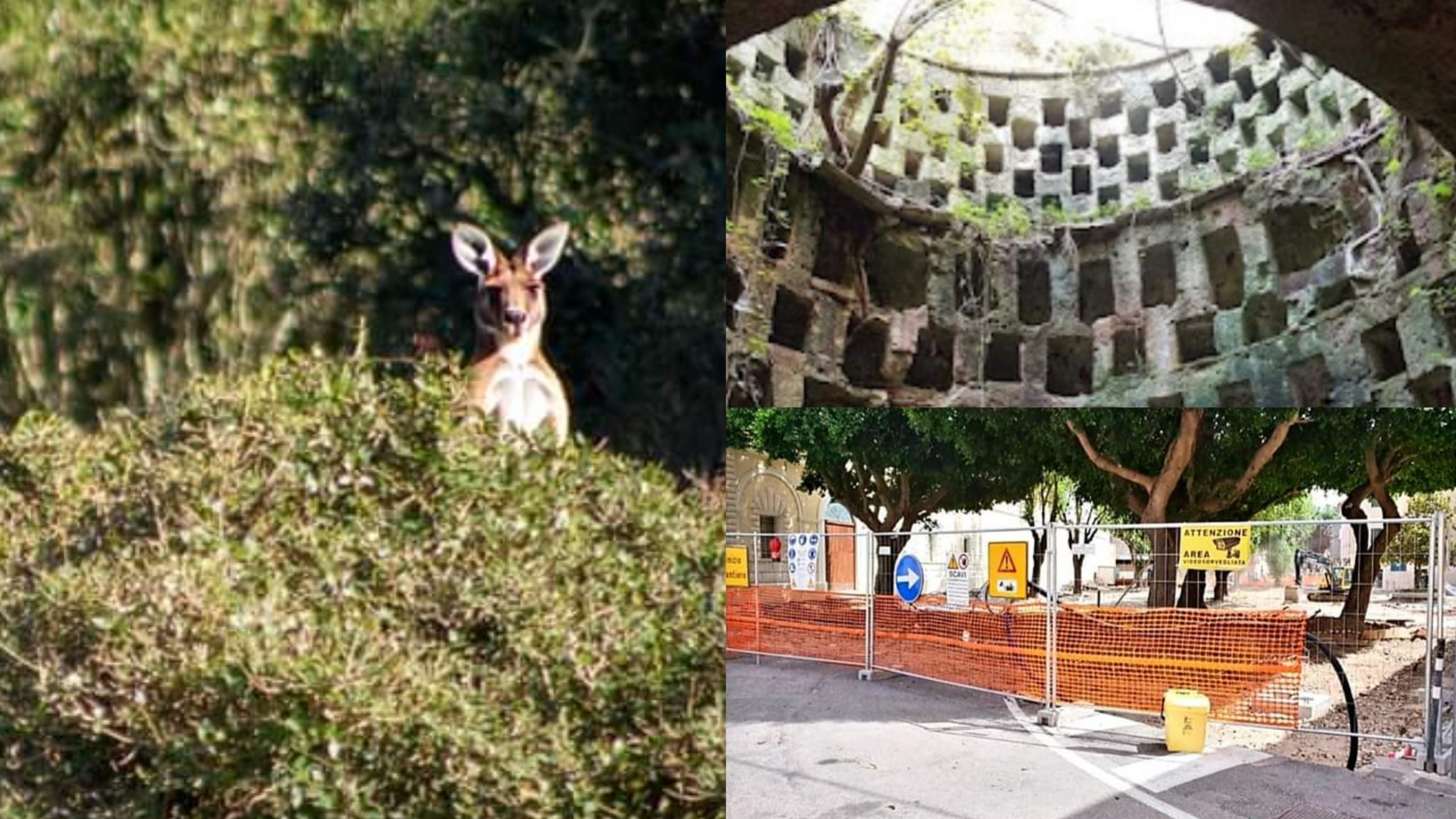 Dal ritrovamento della tomba di Eleonora d’Arborea all’insediamento neolitico nell’orto dei Cappuccini: il pesce d’aprile è servito