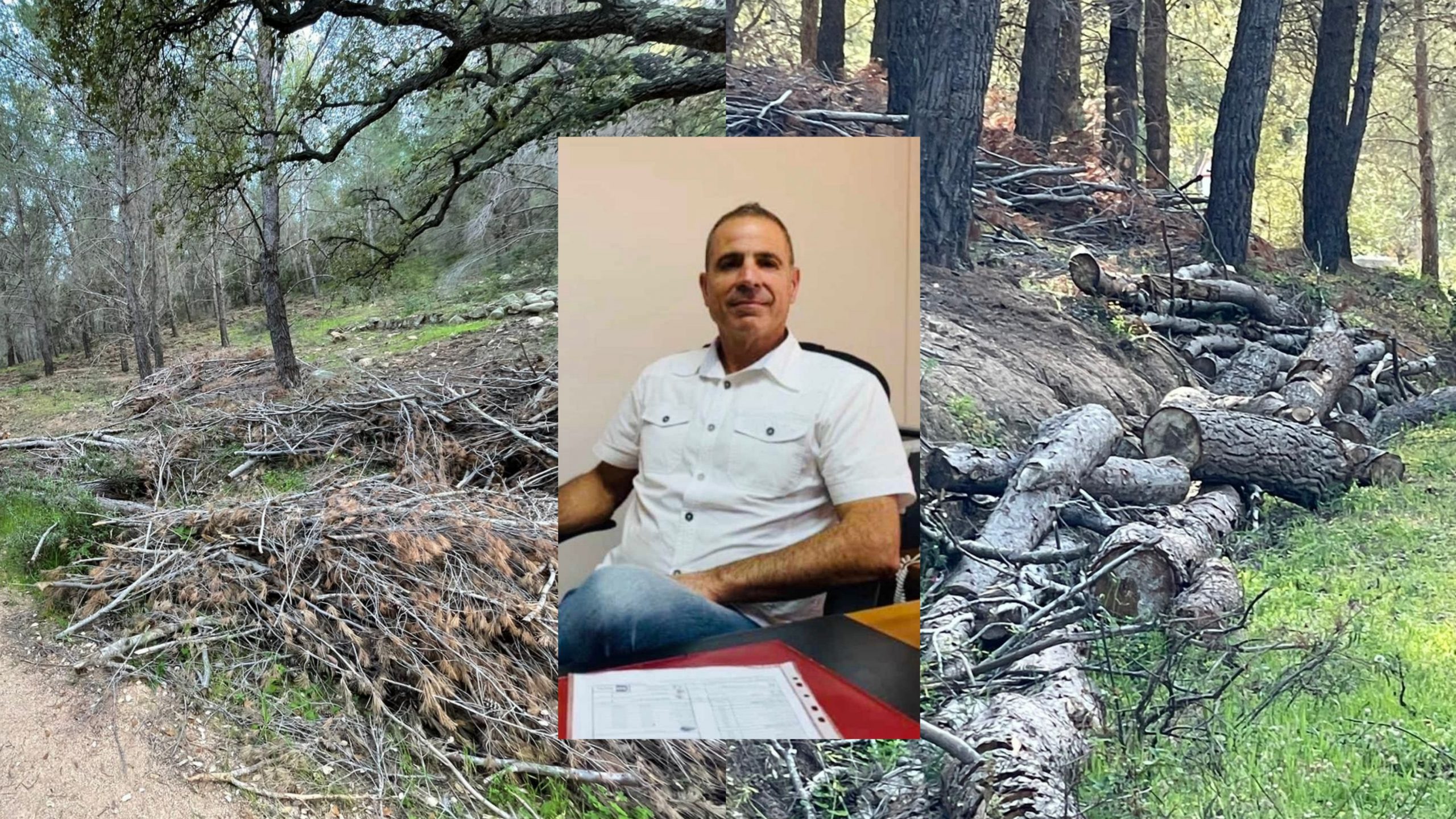 Allarme a Capoterra: “Piante abbandonate e sterpaglie, la pineta a rischio incendi”