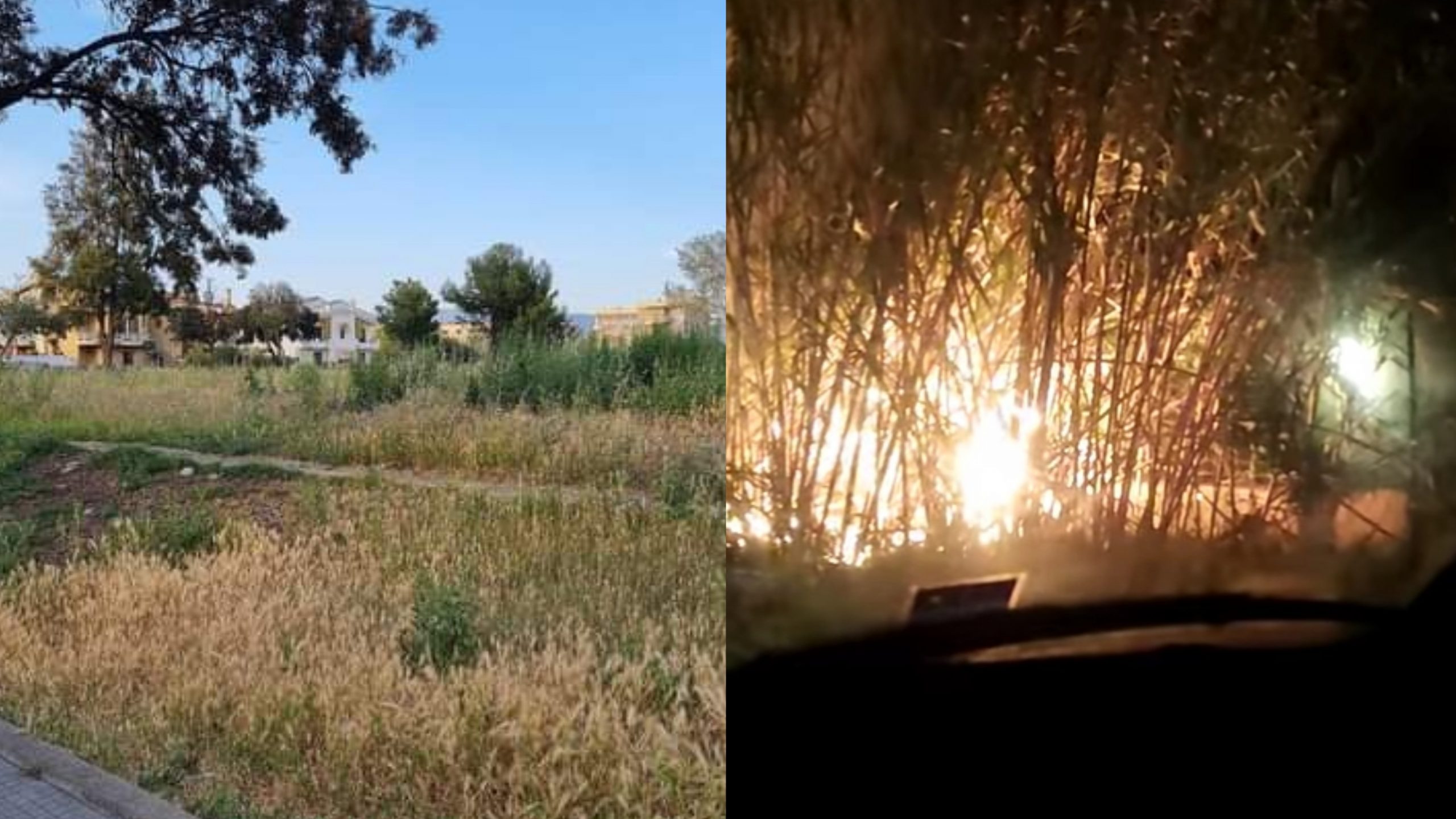 Selargius, terreni pubblici e privati invasi dalle sterpaglie e a rischio incendi