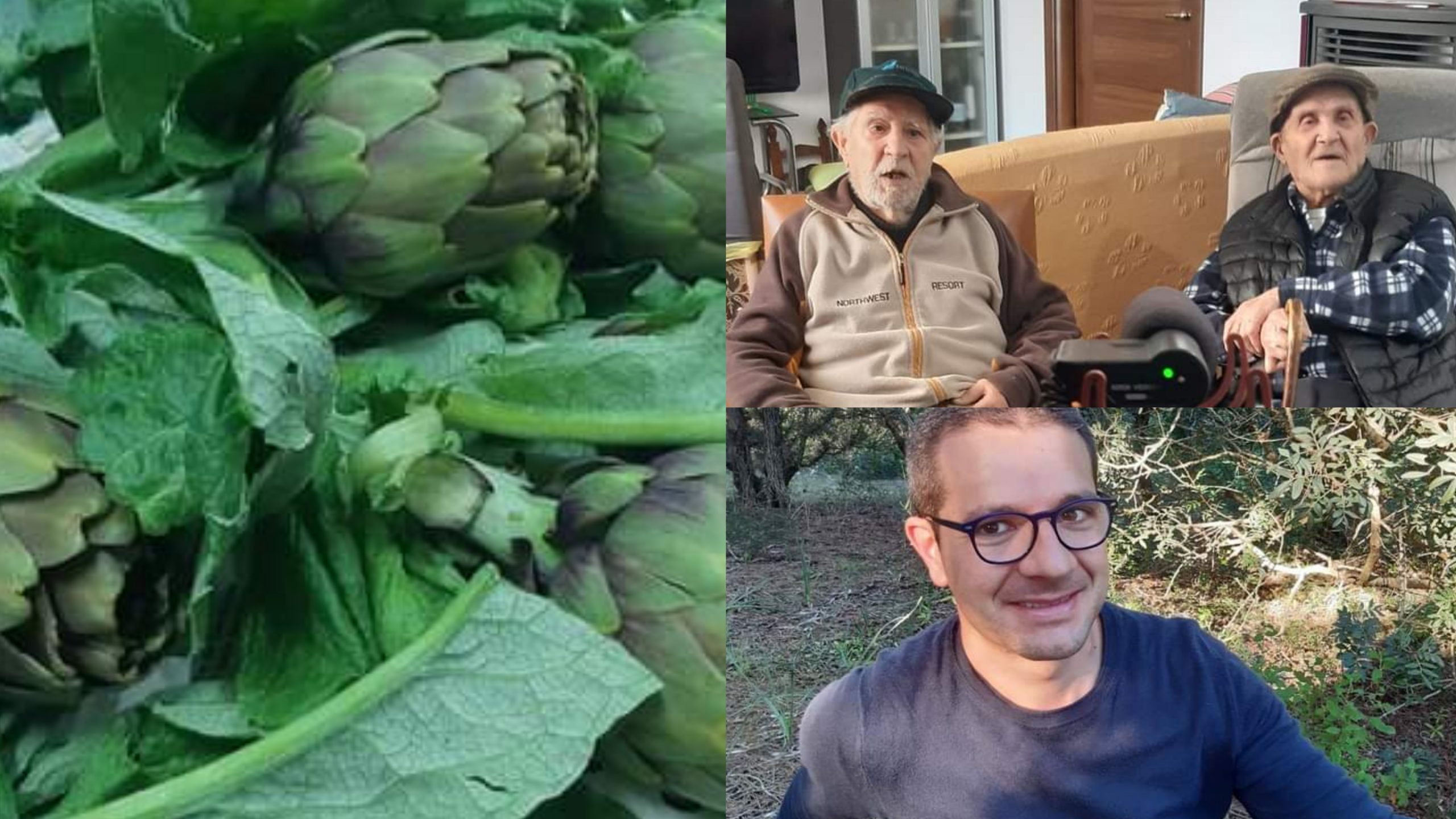 Samassi, il carciofo Violetto da guinness dei primati