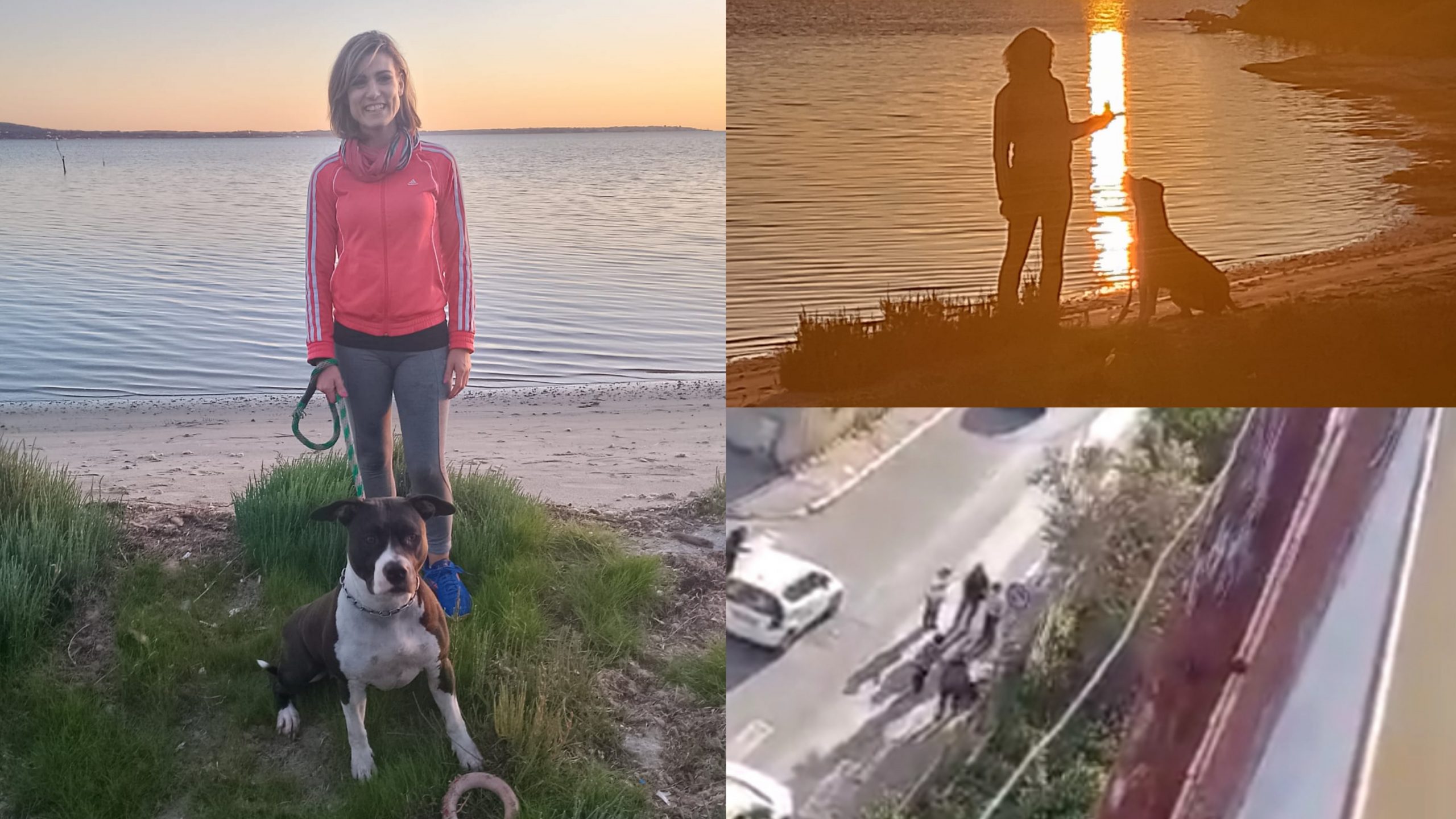 Carbonia: aggredita da due Pitbull in strada, viene salvata dal suo cane