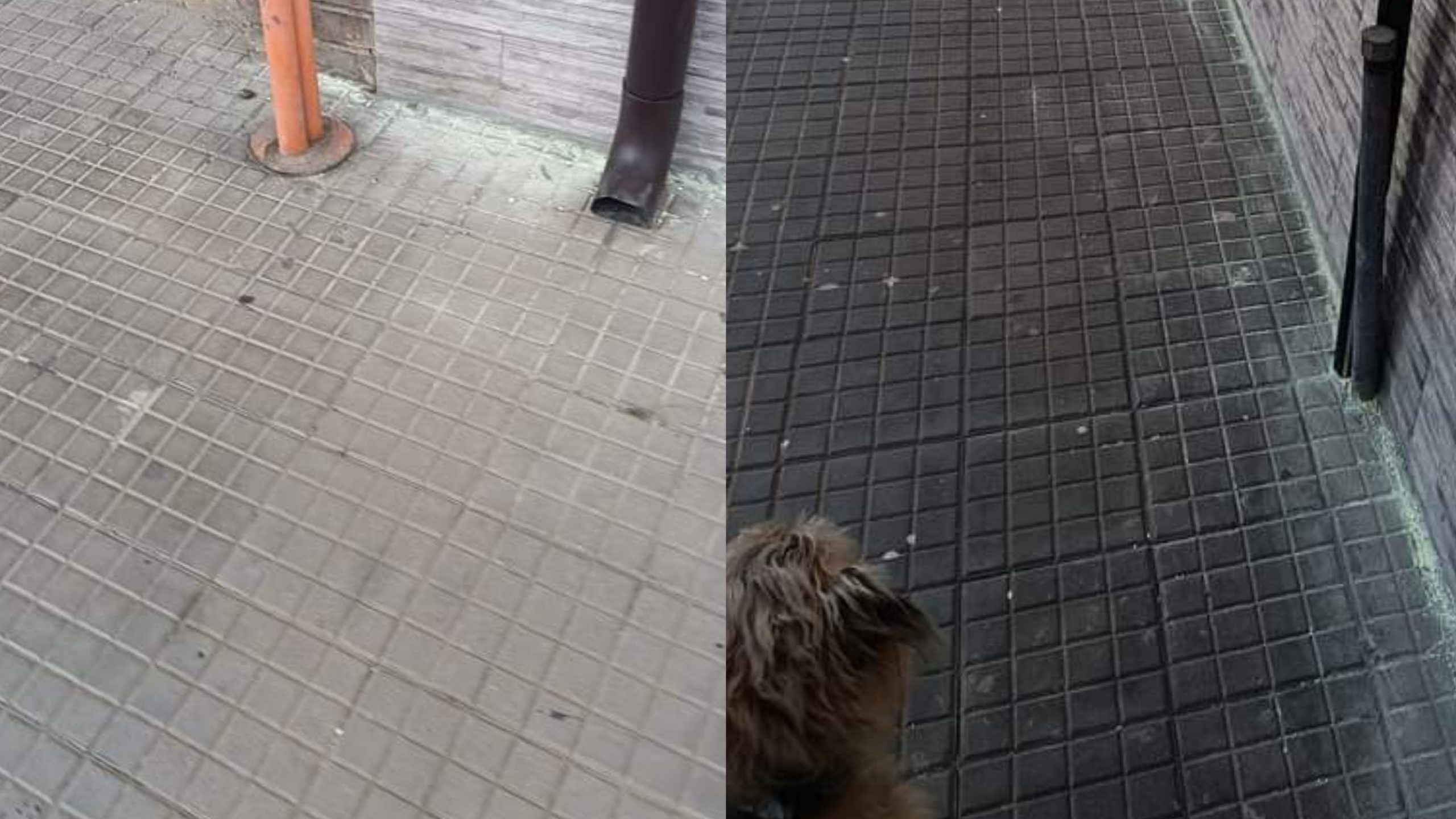 Monserrato, sostanza “sospetta” nel marciapiede per difendersi dalle deiezioni canine