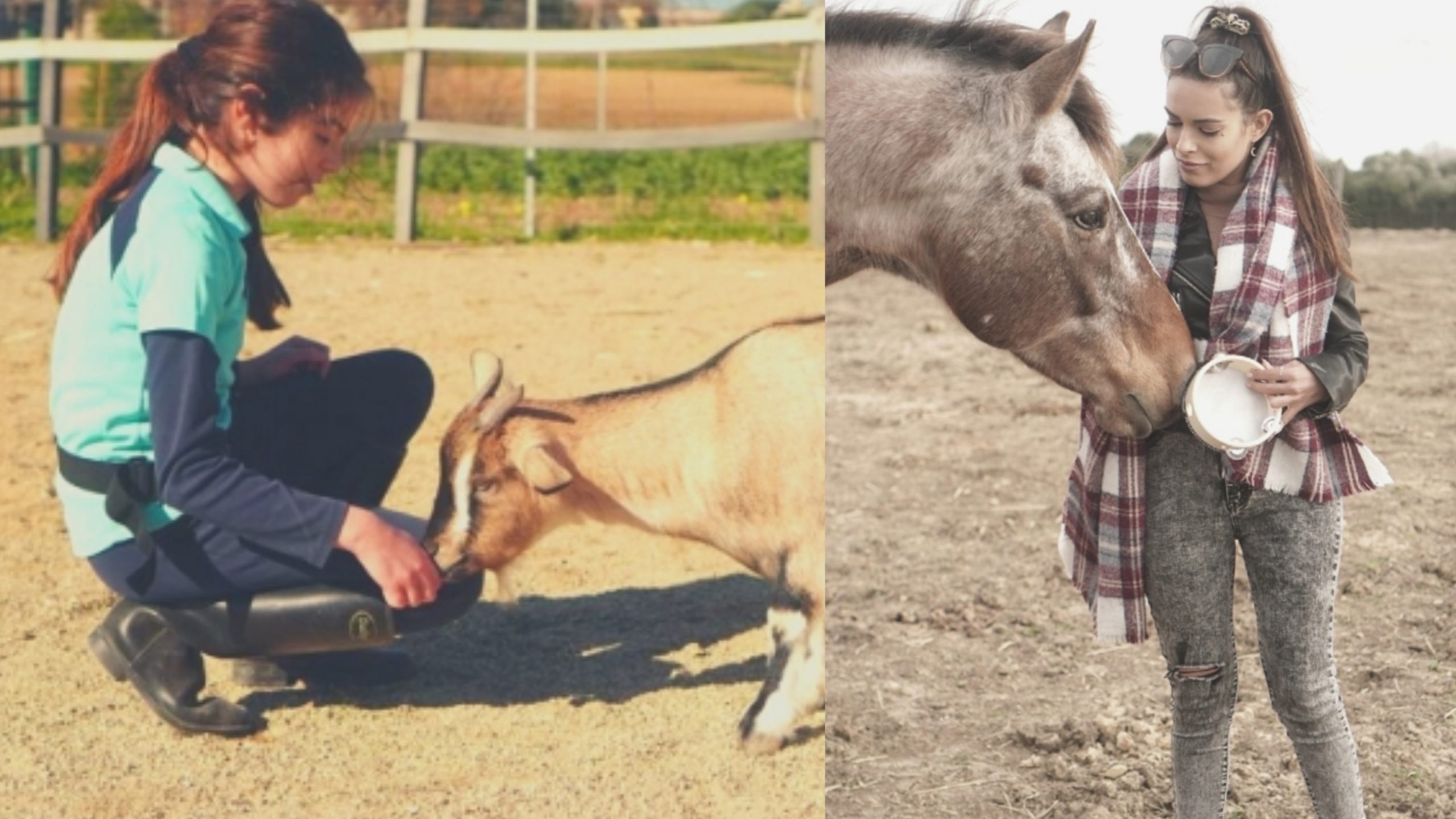 Sanluri, cavalli e caprette per favorire lo sviluppo socio-emotivo dei giovani