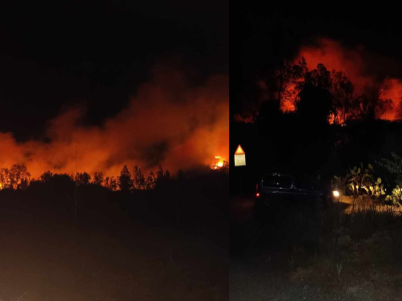 Vasto incendio a Sinnai, alberi e canneti in fiamme vicino al villaggio Tasonis: abitanti impauriti (VIDEO)