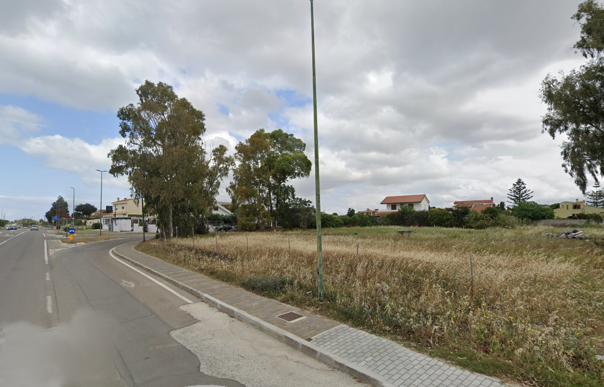 Quartu più verde, boom di nuovi alberi tra viale Colombo e Pitz’e Serra: “Così combattiamo i cambiamenti climatici”