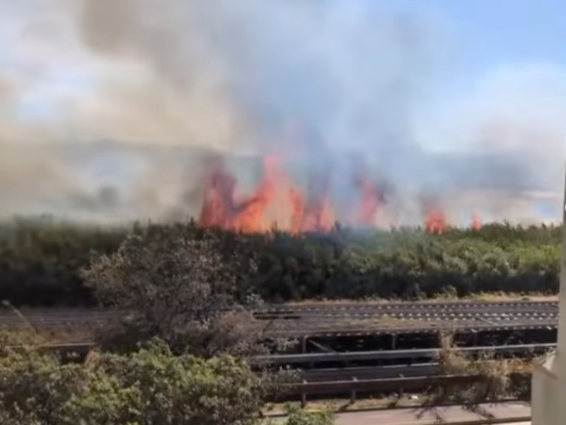 Elmas, devastante incendio tra ferrovia e aeroporto domato dopo 5 ore: in cenere canneti e un ponticello