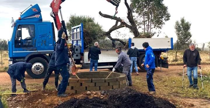 Fratellanza e natura, due ulivi secolari piantati a Uta