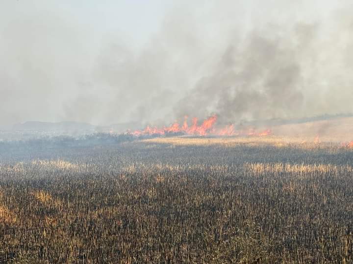 La stagione degli incendi è iniziata: interventi a Settimo San Pietro, Maracalagonis e Capoterra
