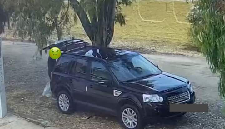 Sacchi colmi di rifiuti gettati in mezzo alla natura a Torre delle Stelle, un video smaschera il responsabile