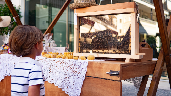 Un Giorno da Apicoltore: Laboratorio Interattivo per Bambini a Palazzo Doglio