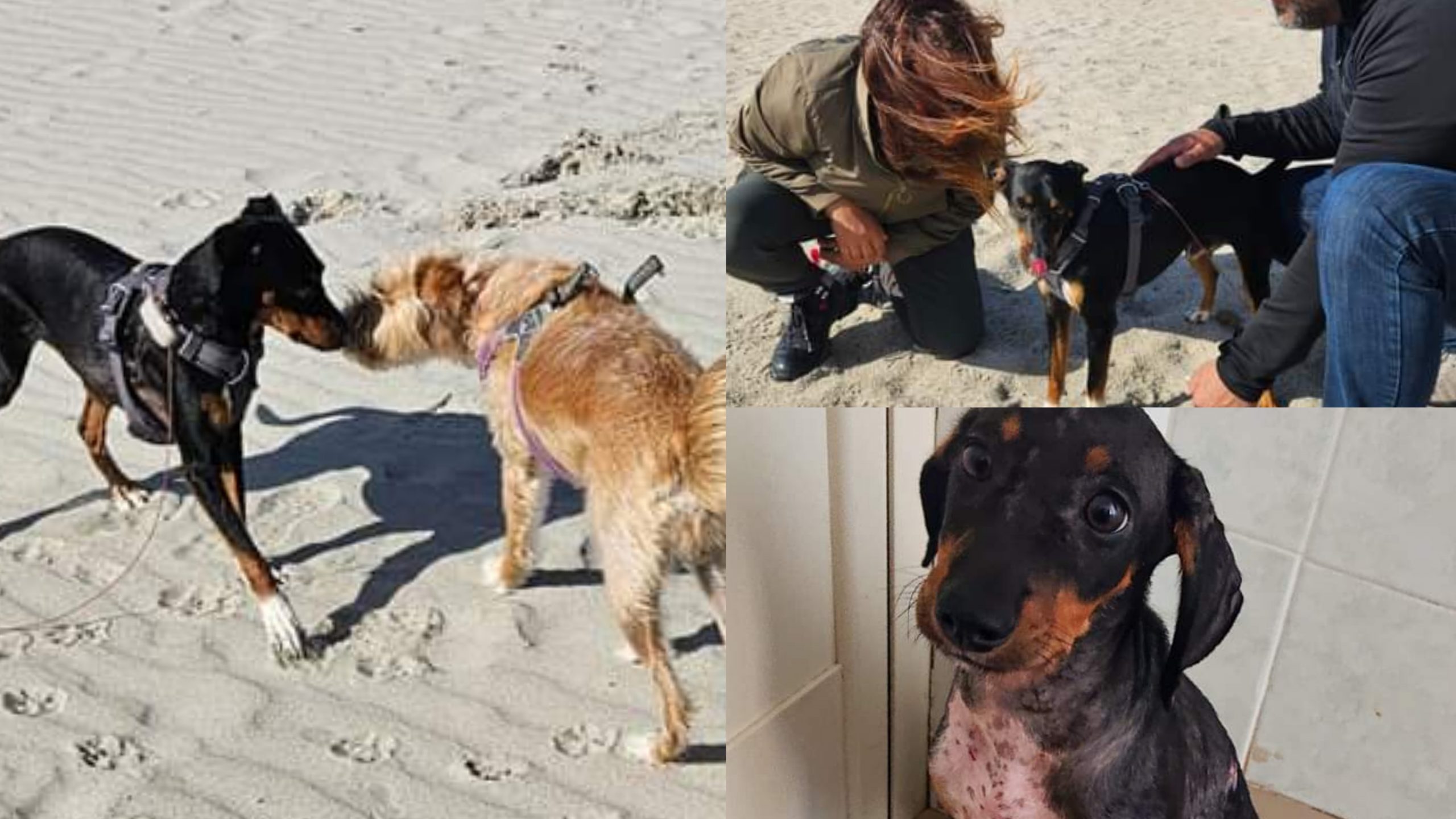 Dalla Slovenia alla Sardegna per incontrare nuovamente la sorella: la nuova vita di Axel