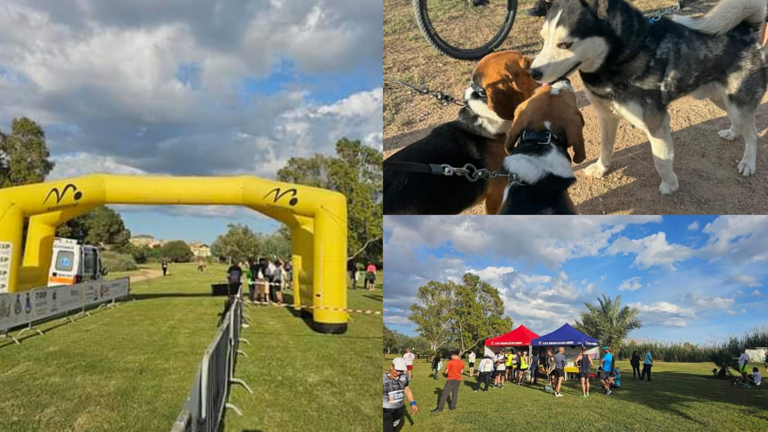 Una corsa tra i fenicotteri e gli altri abitanti di Molentargius: si è svolta la “Happy Run”