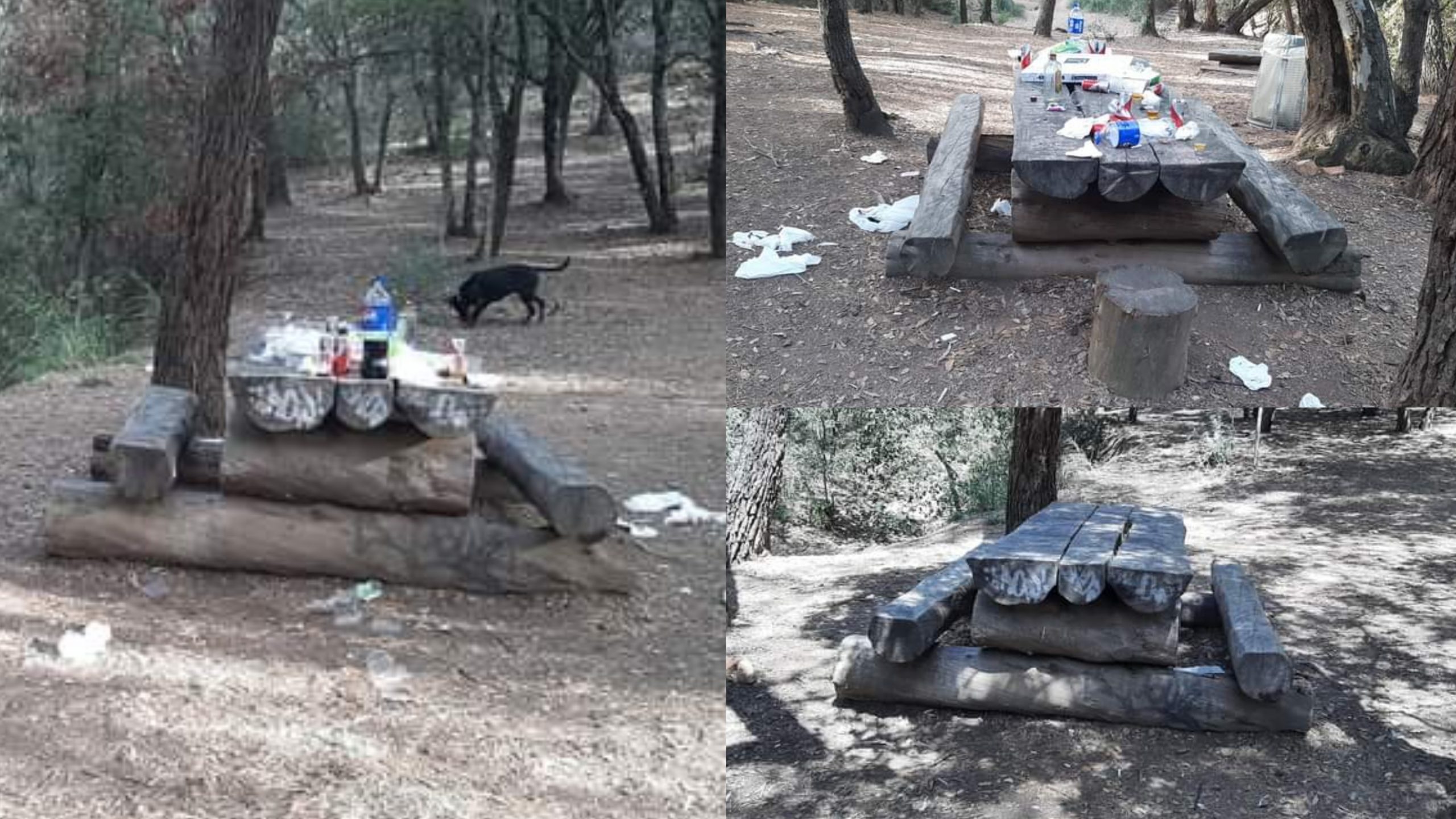 Sinnai, rifiuti a terra col cestino a due passi: incivili nel mirino