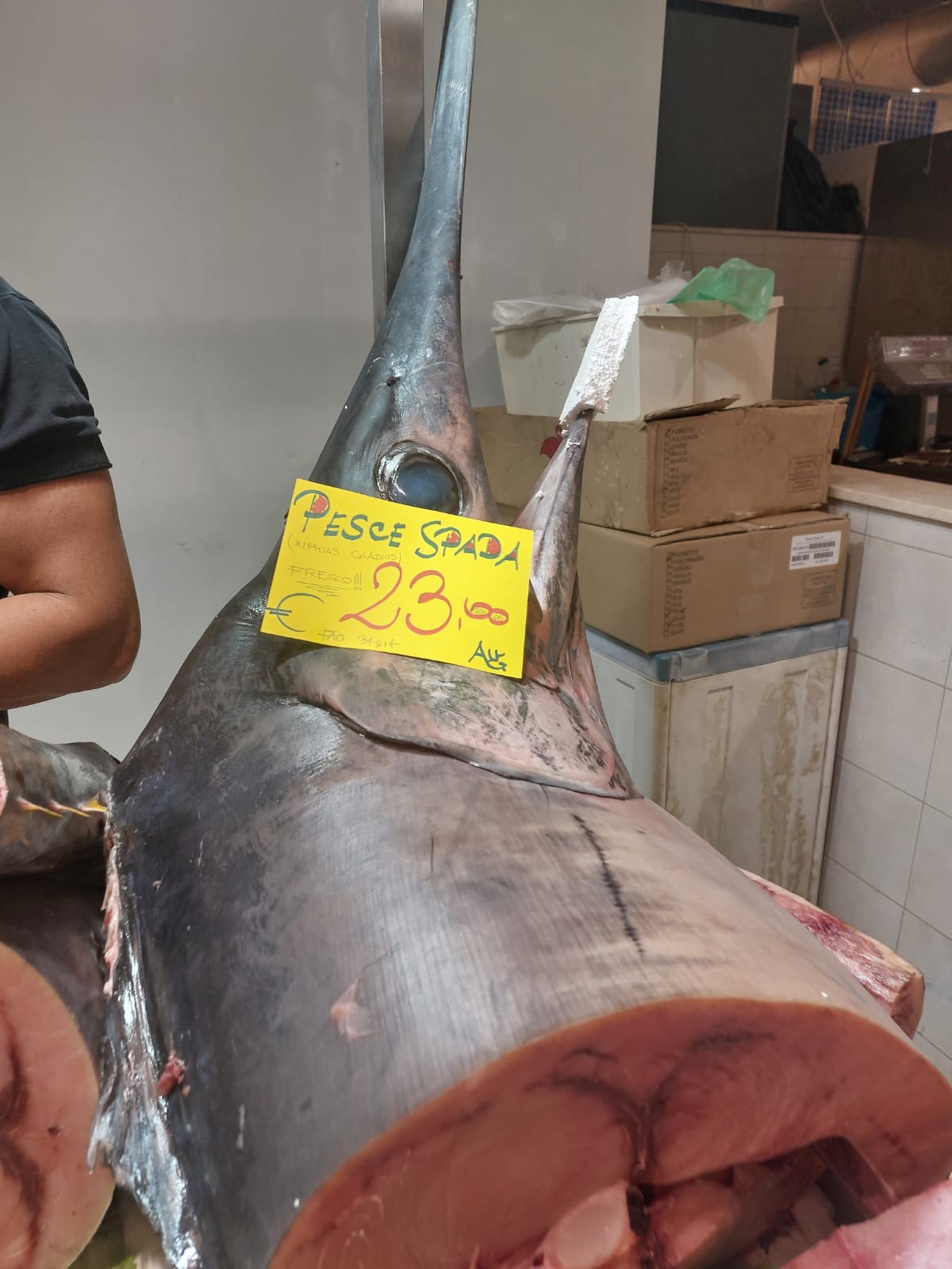 Controlli sulla filiera della pesca in Sardegna: sanzioni per oltre 18 mila euro, sequestrati 300 kg di prodotti ittici