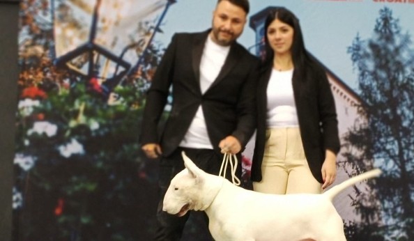 Da Cagliari al Word Dog Show in Croazia con la medaglia d’oro al collo
