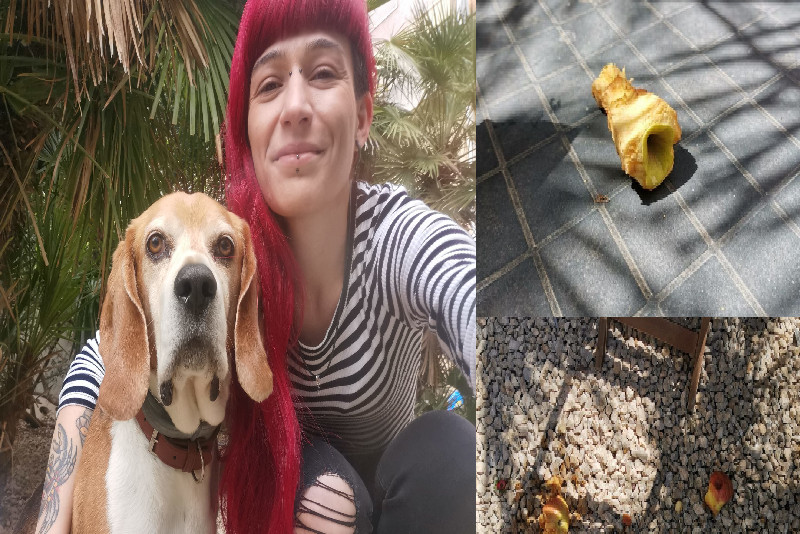 Cagliari, cane con ansia da separazione nel mirino di un condominio: “Gli lanciano frutta da mesi, povero Toby”