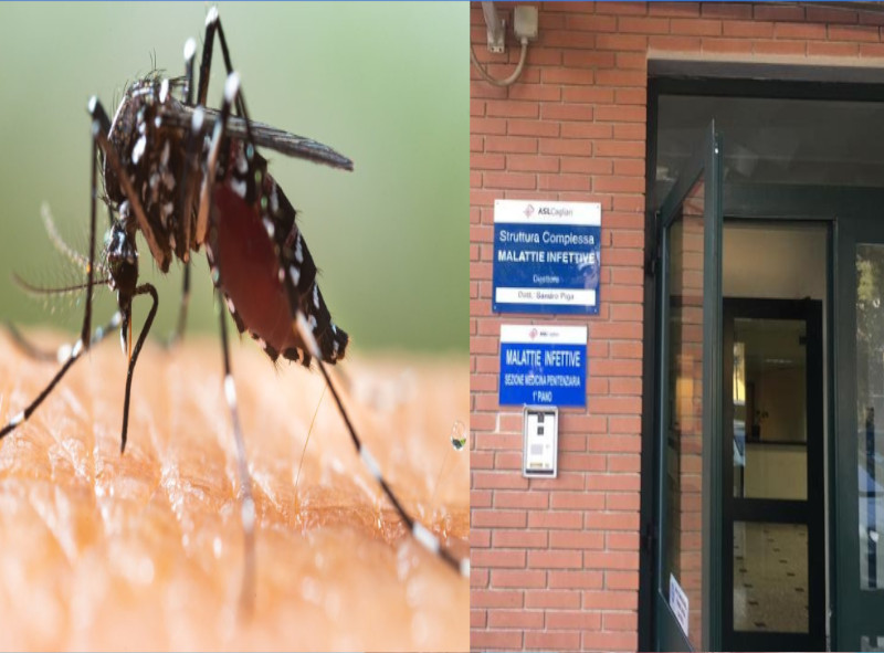 Due ragazze ricoverate a Cagliari con la Dengue, la “febbre spaccaossa”: erano state in vacanza alle Maldive e in Indonesia