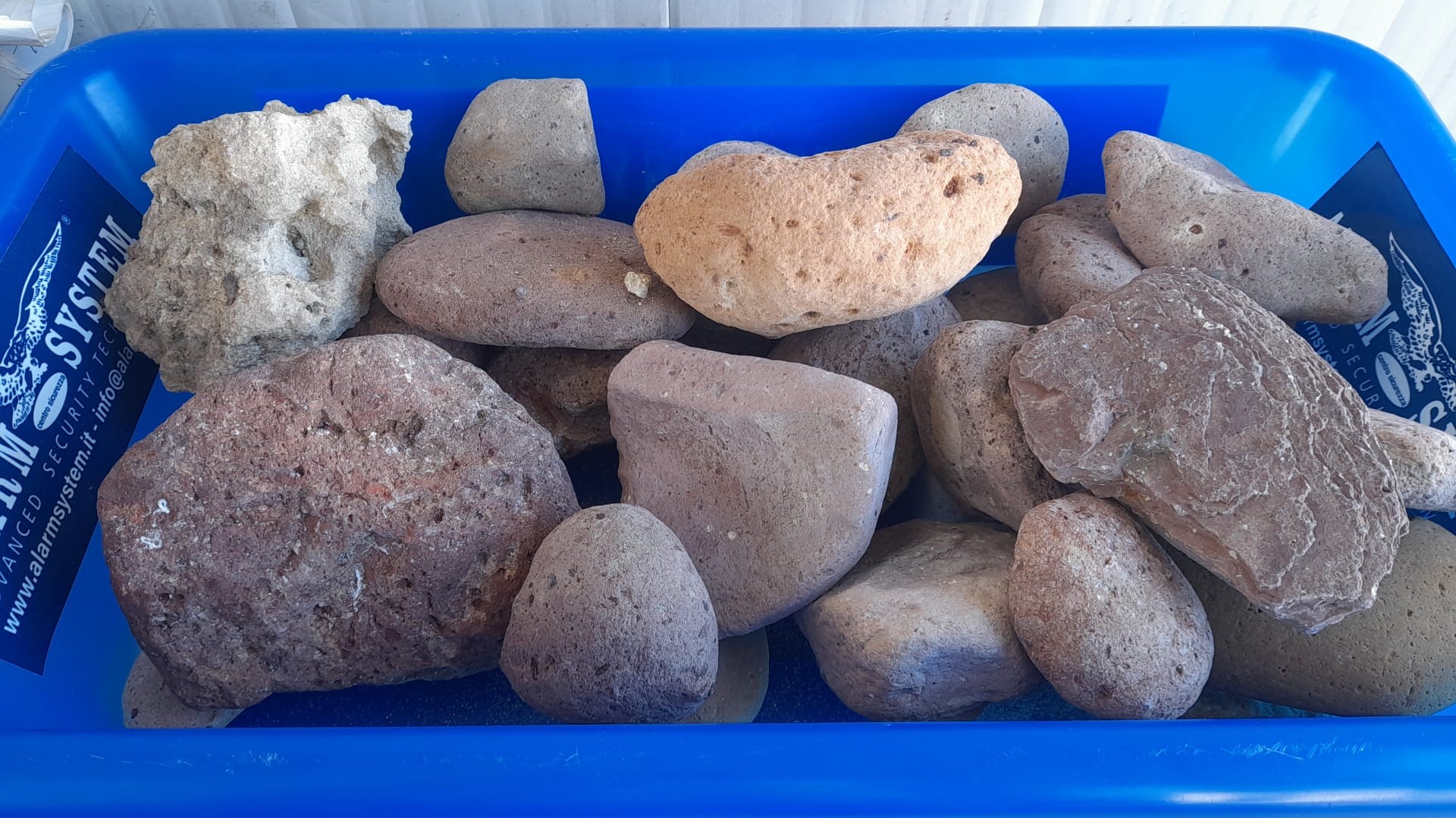 Turista con un carico di pietre in auto fermato al porto di Olbia