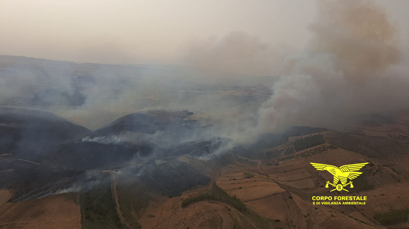 Inferno incendi in Sardegna, 19 in poche ore: allarme a Guasila e Macomer, campagne e piante in cenere