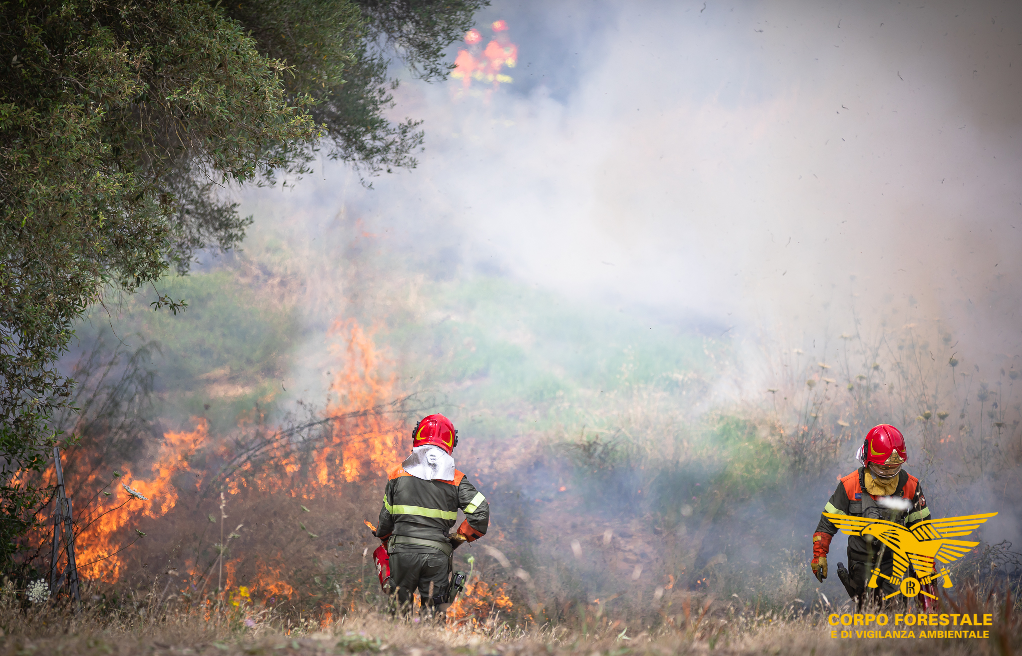 L’Isola flagellata dal fuoco, 17 incendi in poche ore: cenere e devastazione a Quartucciu e San Vero Milis
