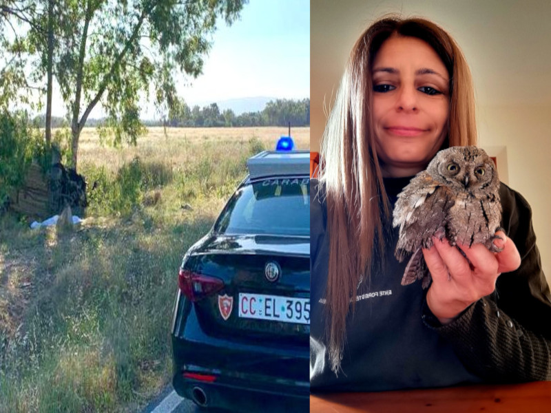 Le lacrime dei colleghi della forestale morta a Villasor: “Addio Cinzia, amante degli animali e sempre in lotta contro gli incendi”