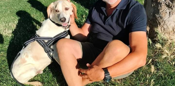 Lieto fine a Villacidro: mamma e cuccioli nell’immondezzaio salvati e accuditi in canile