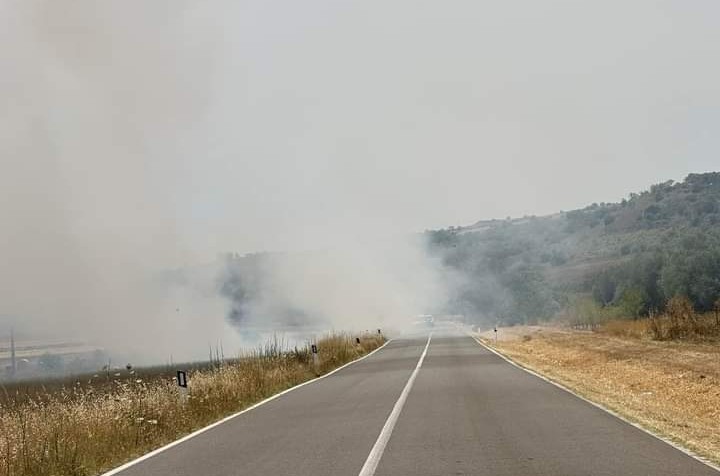 Pericolo incendi, gli sfalci previsti solo per il 18 luglio: la denuncia del sindaco di Turri