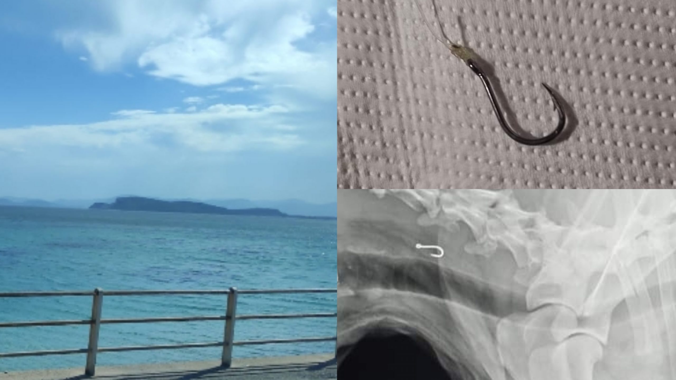 Quartu, cane ingoia un amo durante una passeggiata nella spiaggia dedicata