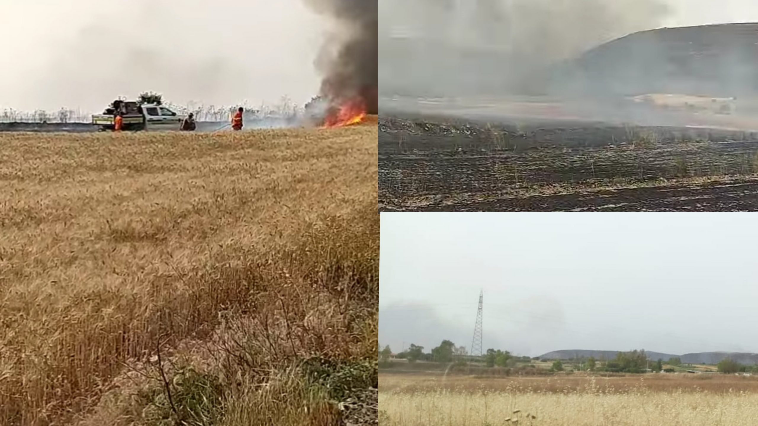 Guasila, il monte San Mauro incenerito dalle fiamme: decine di ettari rasi al suolo dal grosso incendio