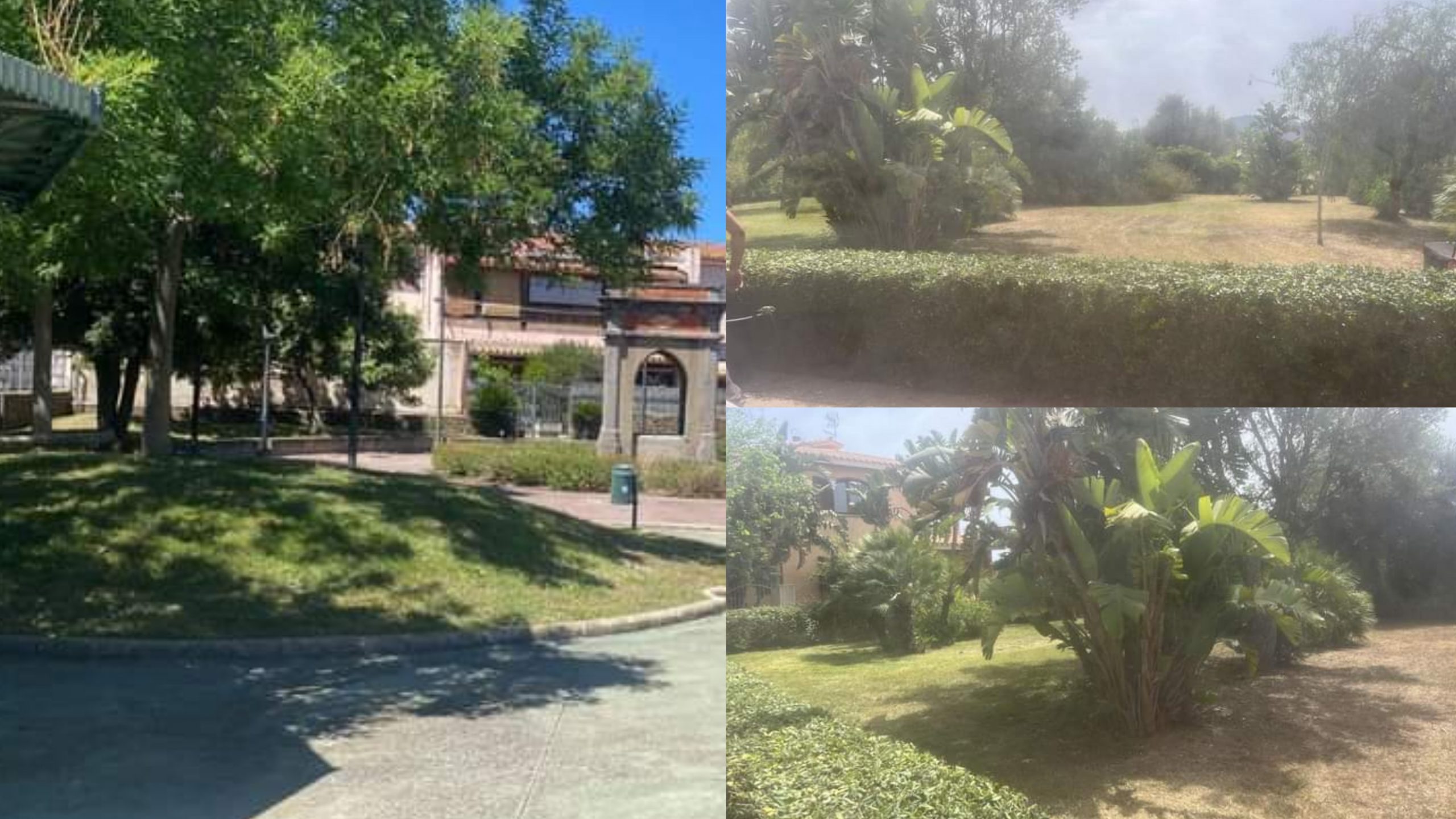 Pula si fa bella: chiome verdi delle piazze e dei parchi perfettamente in ordine