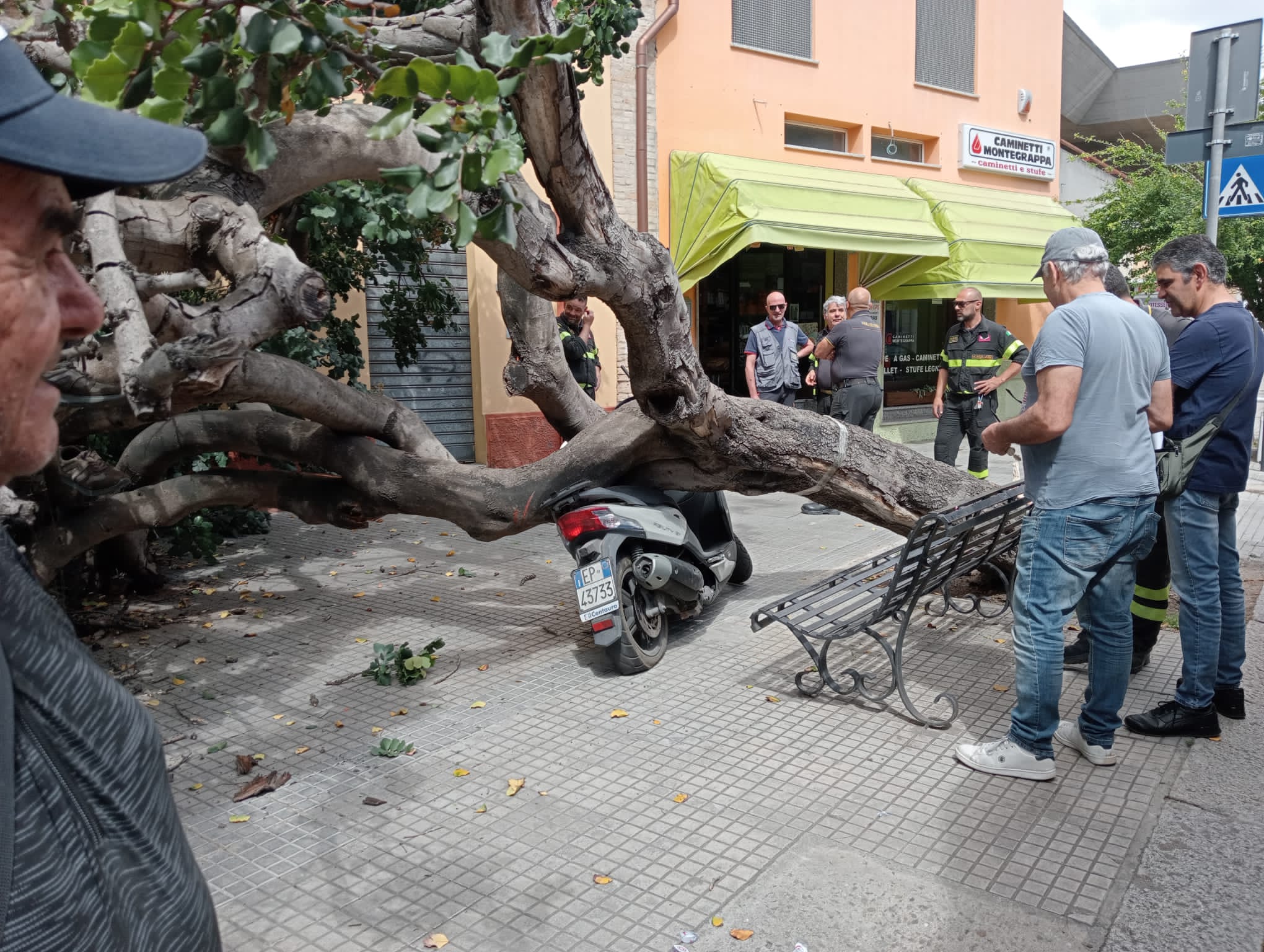 Paura a Selargius, crolla un albero in via San Martino: danneggiato uno scooter