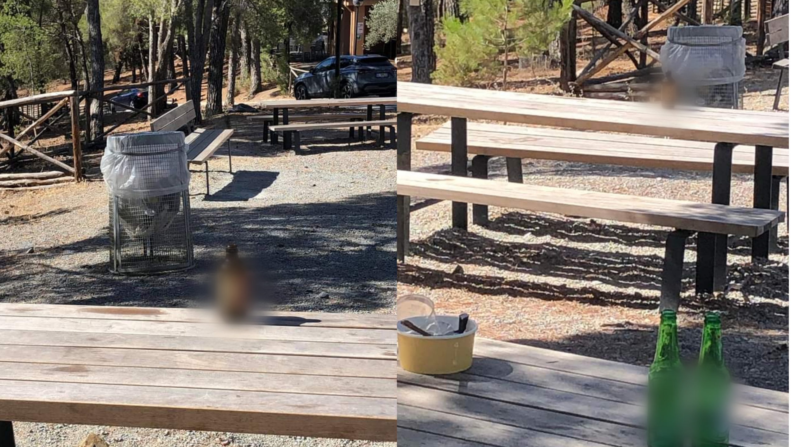 Sinnai, la pineta del paese ancora presa di mira dagli incivili