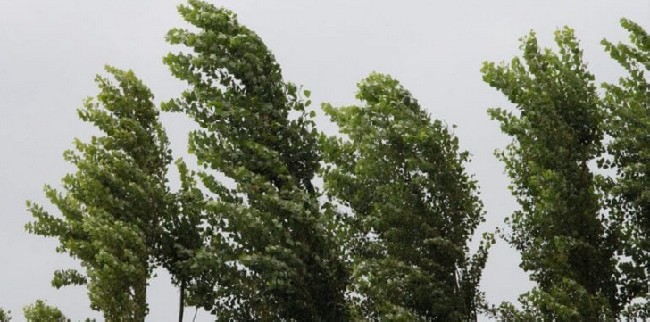Meteo Casteddu, il vento spazza via il grande caldo: le massime si fermano a 25 gradi