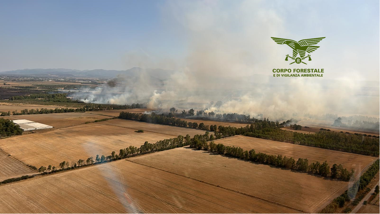 La Sardegna brucia, 15 incendi con temperature da fornace: maxi roghi a Villasor e Gesico