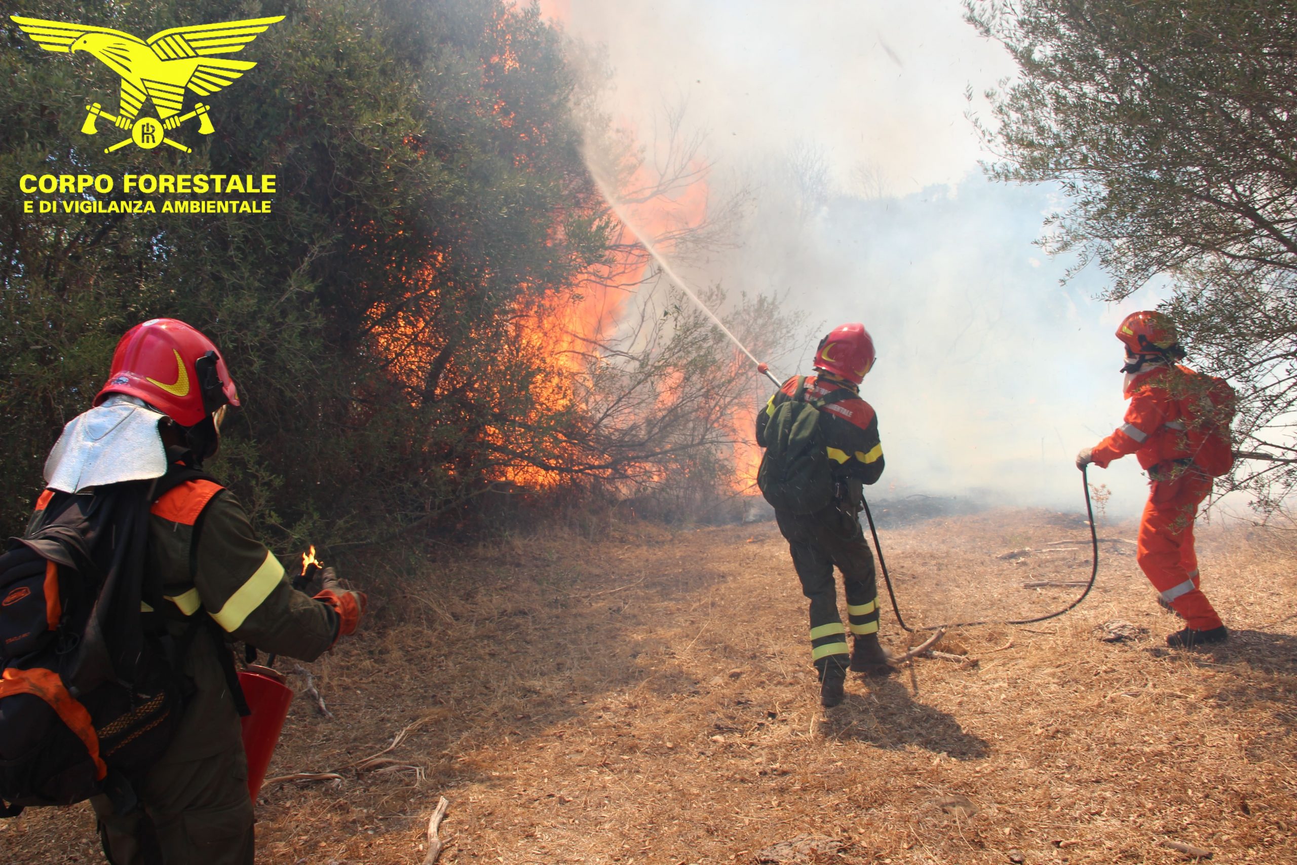 La Sardegna sfregiata senza sosta dagli incendi: 70 roghi da inizio luglio, campagne devastate
