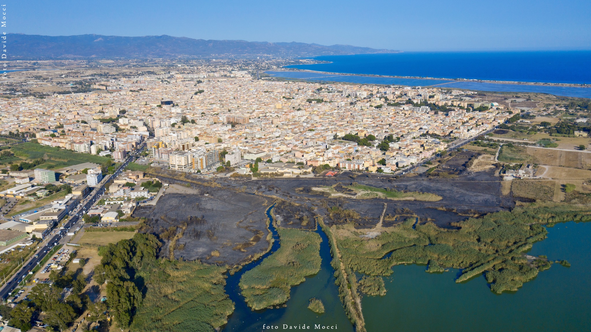 Quartu, distruzione e morte: distesa nera choc dopo l’incendio nel parco di Molentargius (VIDEO)