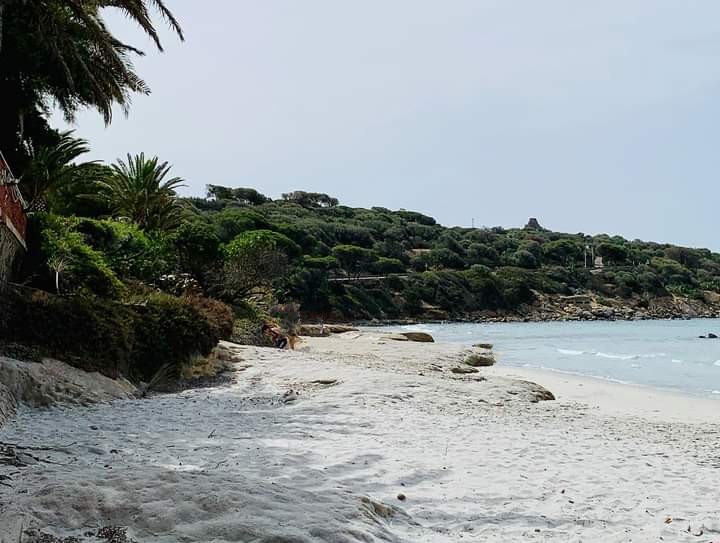 Capitana, torna la spiaggia in tutta la sua bellezza