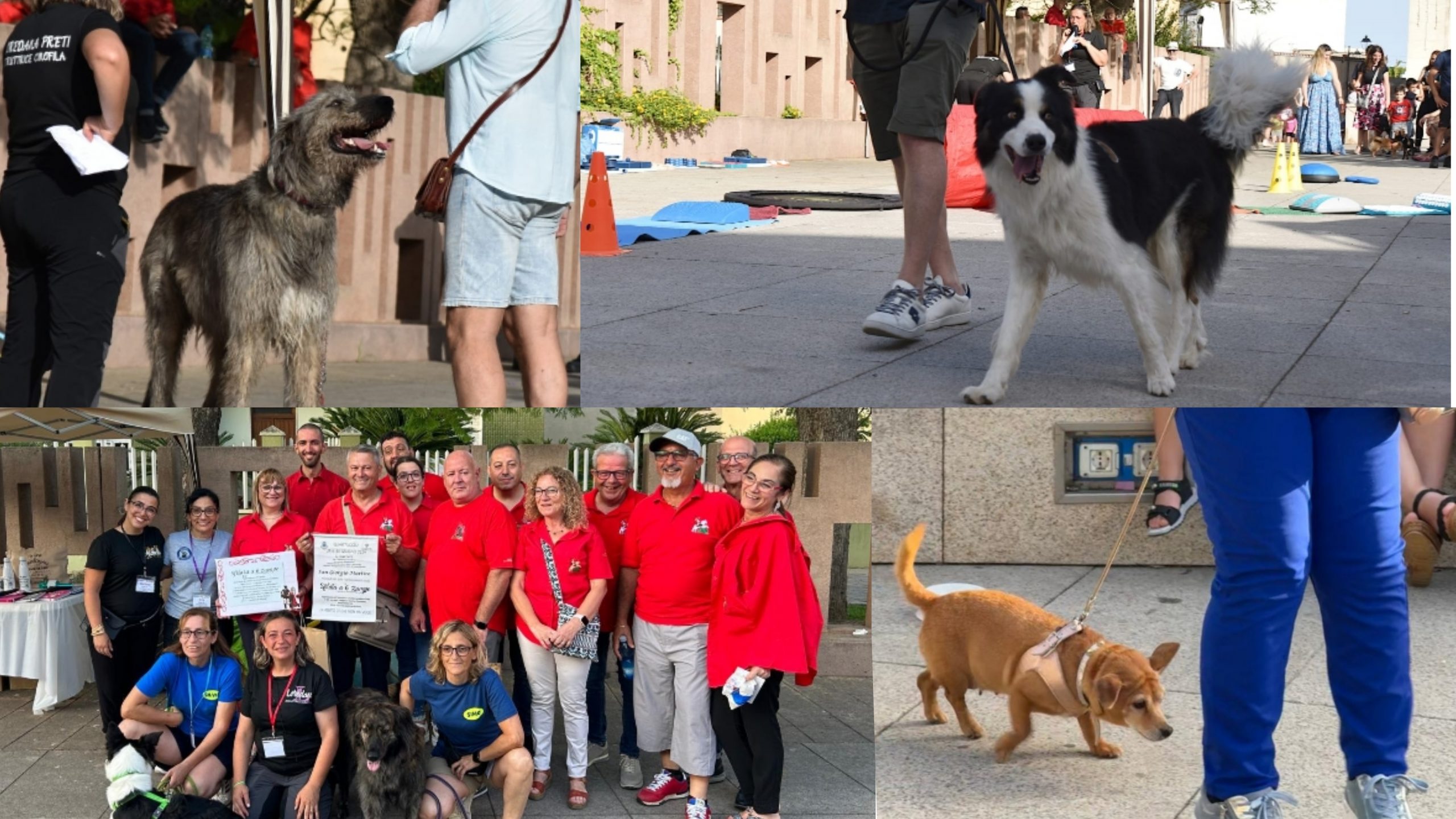 Quartucciu, grande successo per “Cani in passerella”