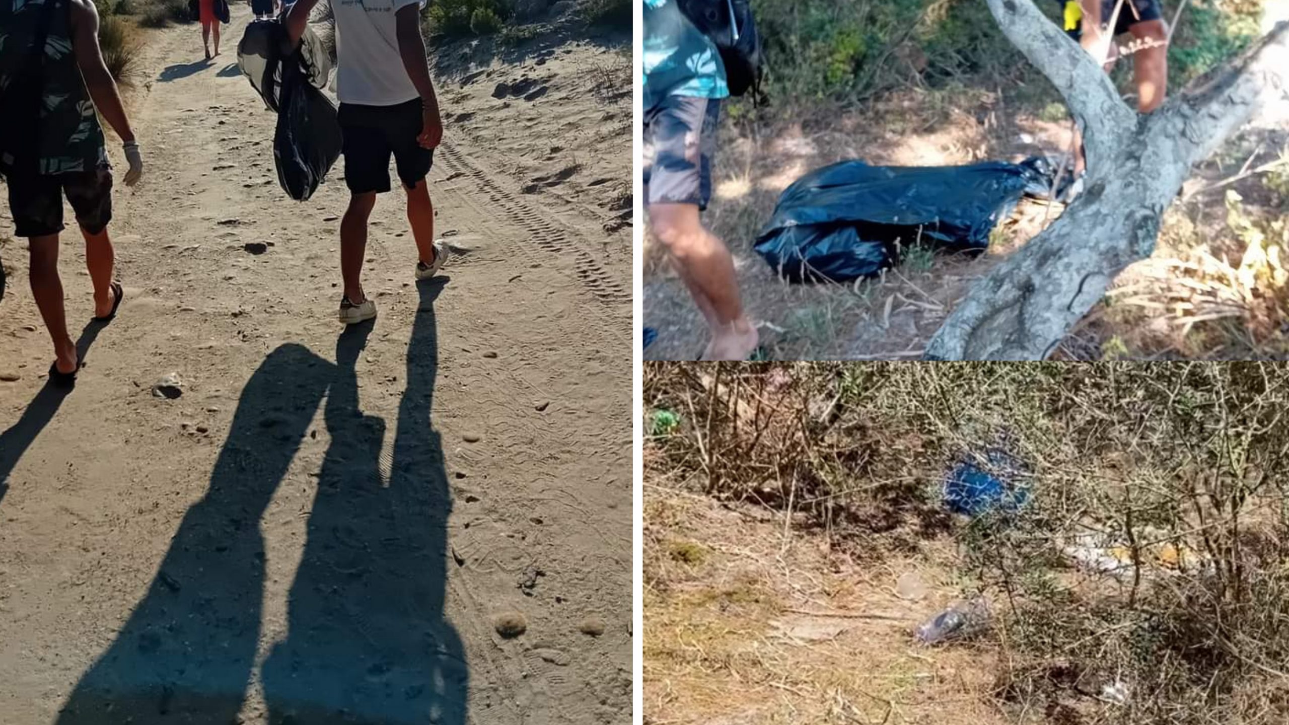 Porto Pino, squadre di volontari in azione per ripulire la pineta dai rifiuti