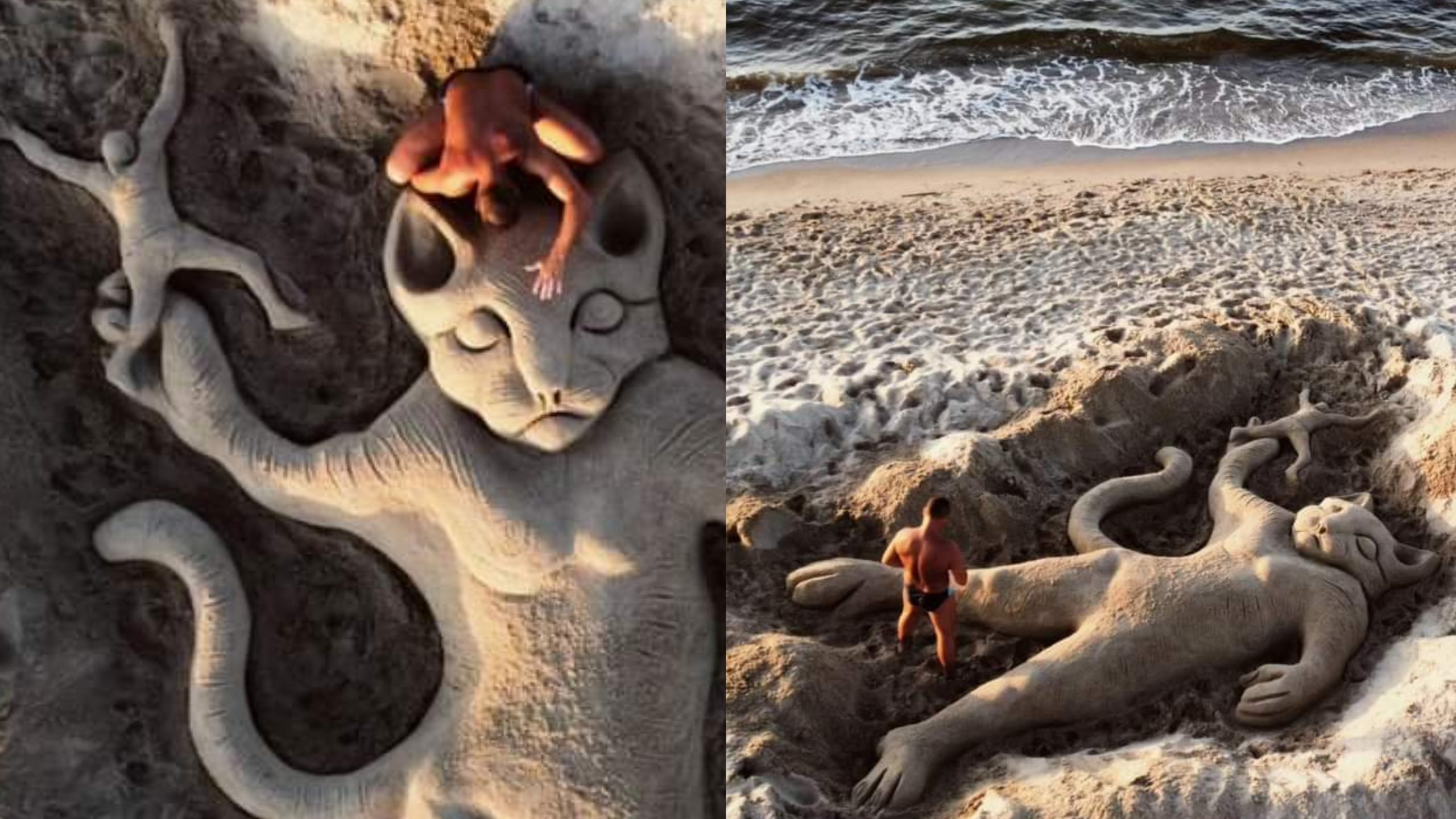 Ilbono, pesanti minacce di morte all’animalista Enrico Rizzi